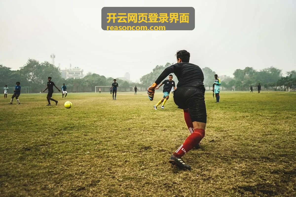 开云网页登录界面 - 登录门户